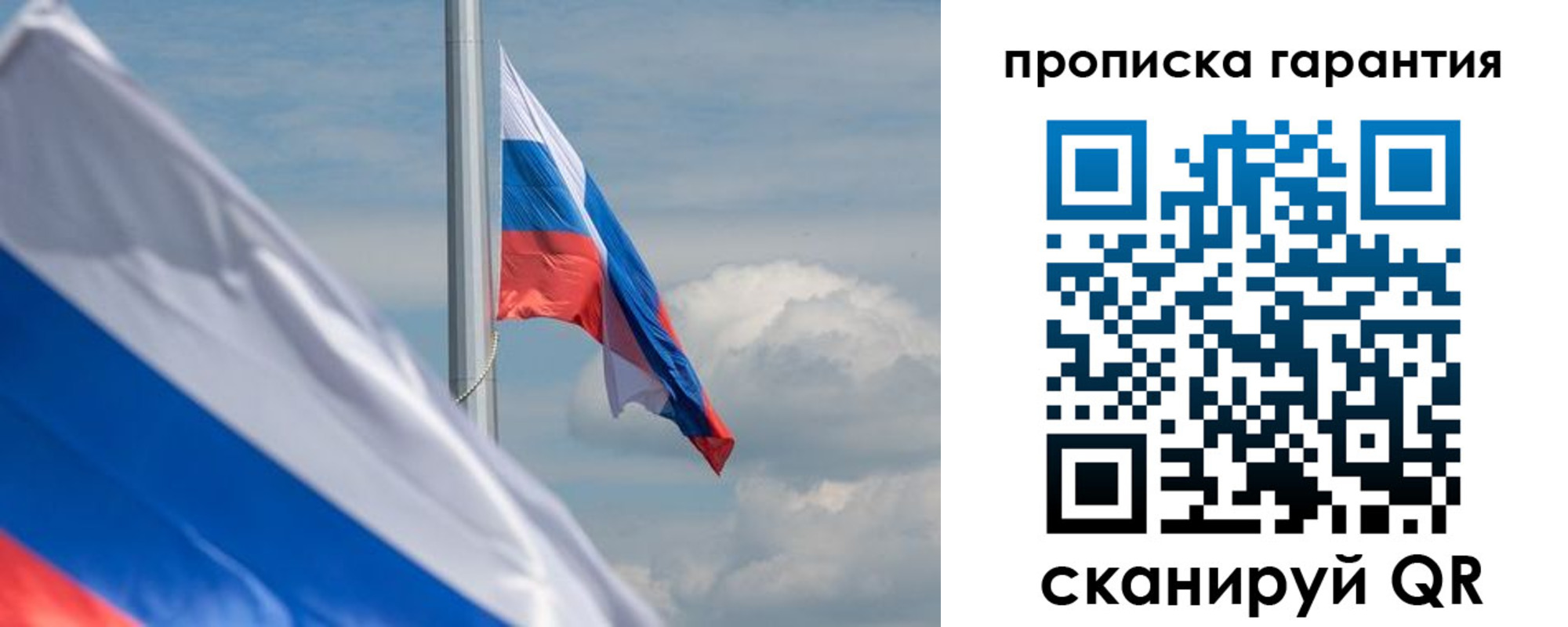 прописка поиск в Ясном